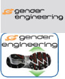 Gender engineering