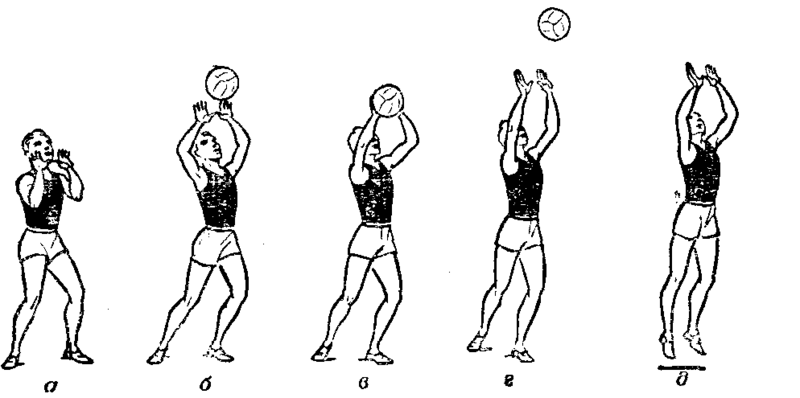 Техника приёма мяча в волейболе