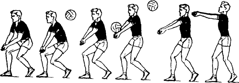 Реферат Волейбол Основные Техники Игры