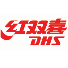 Dhs logo